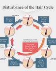 hair growth serum - hair essence - hair cycle