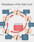hair growth serum - hair essence - hair cycle
