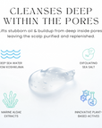 Deep Sea Scalp Cleansing Treatment