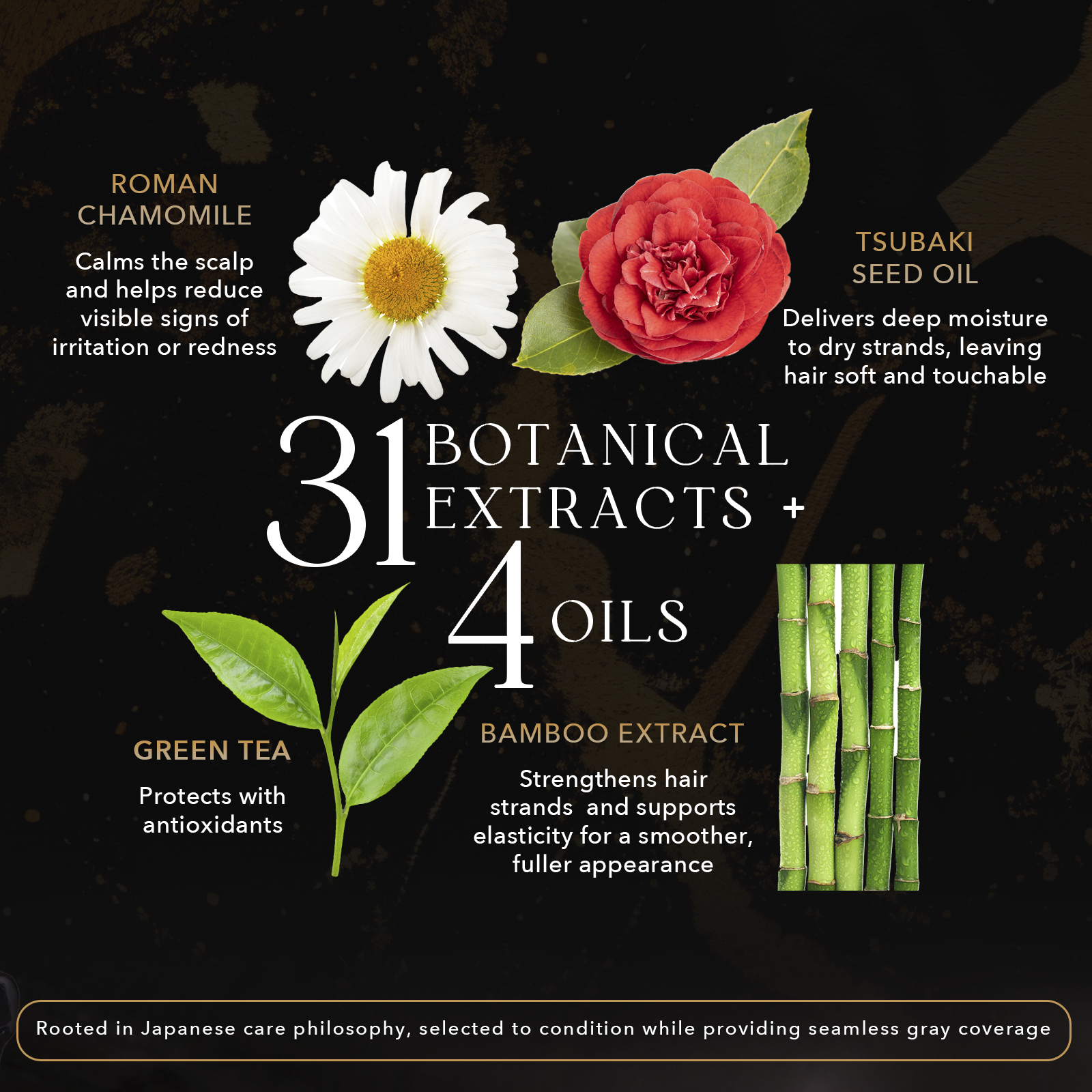 Hair Color Treatment for Gray Hair