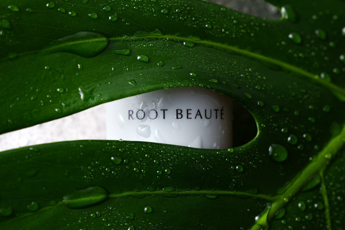 A white Root Beauté bottle seen through a dark-green leaf dotted with water.