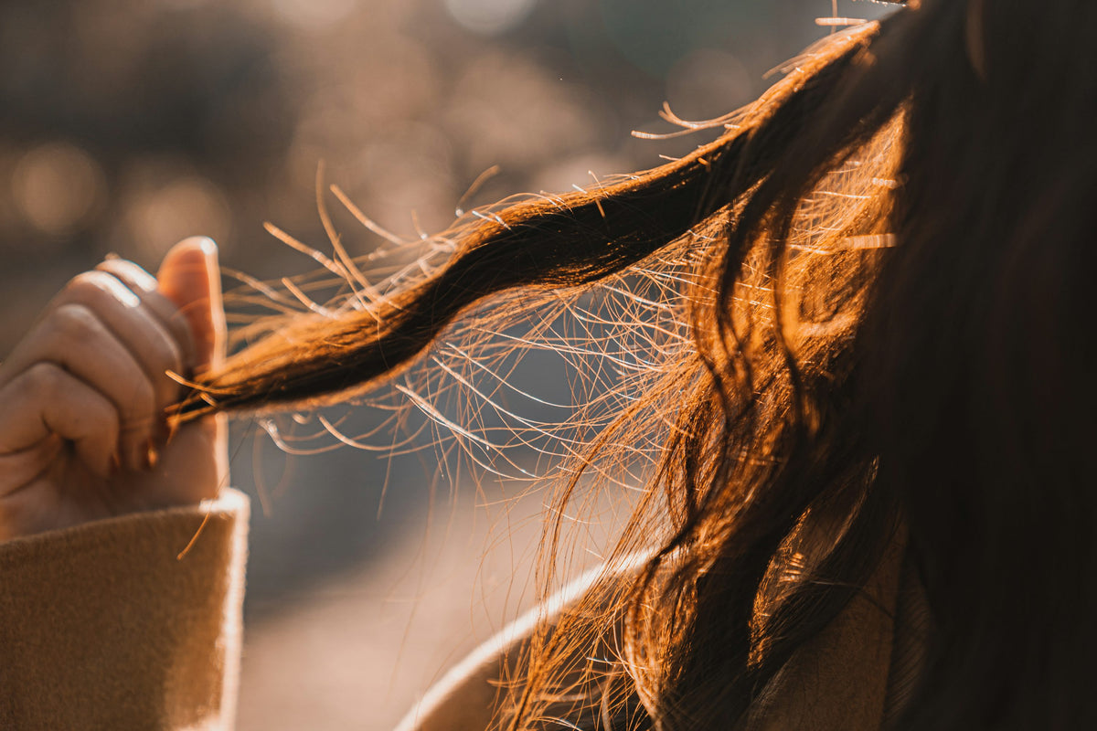Close-up of a hand holding brown hair in warm natural light.