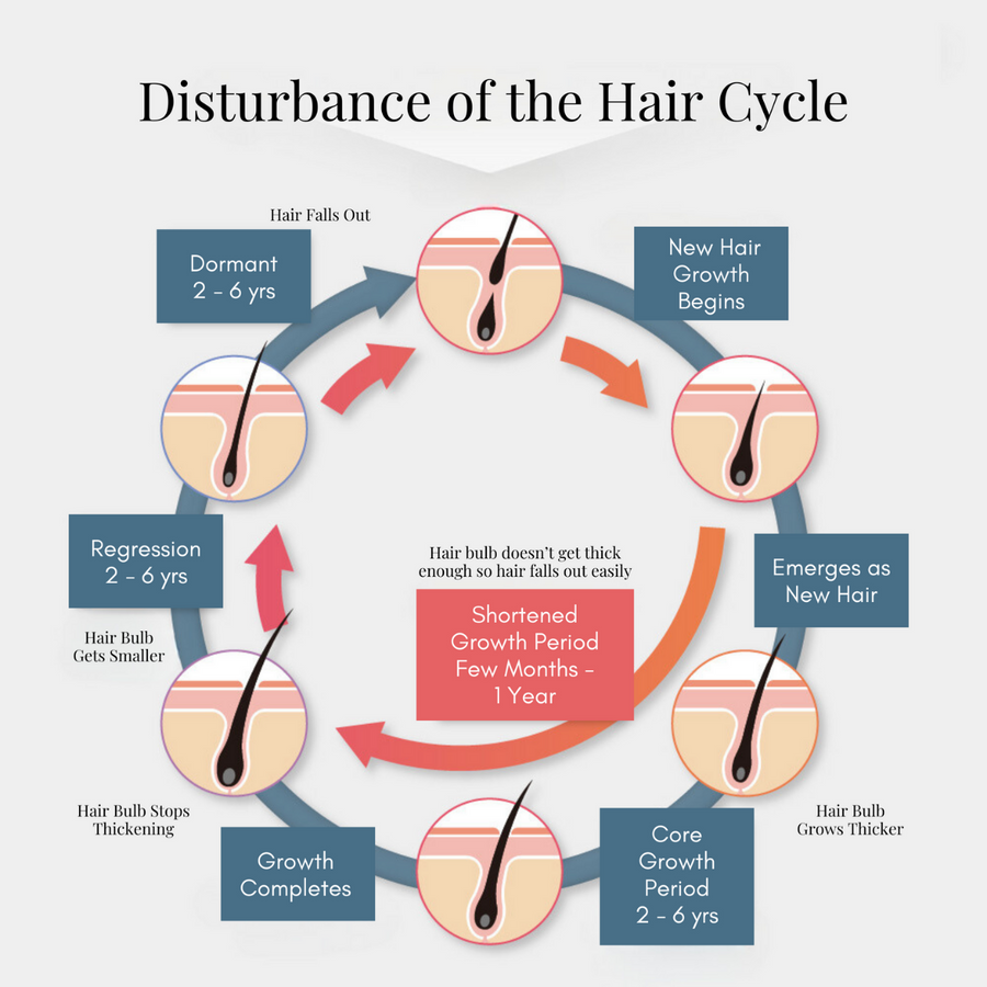 hair growth serum - hair essence - hair cycle