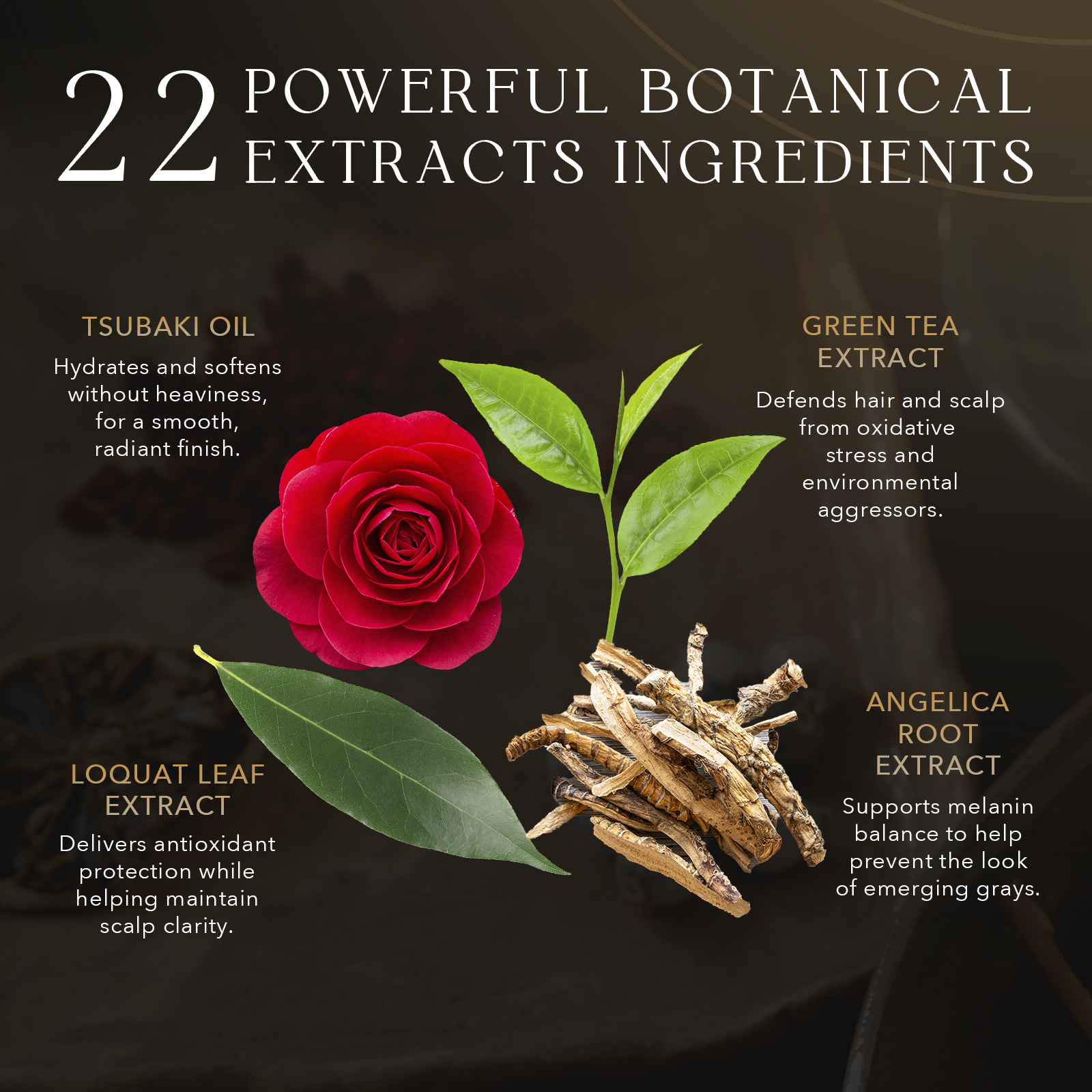 Gray Hair Color Brush