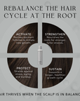 Complete Scalp & Gray Care System