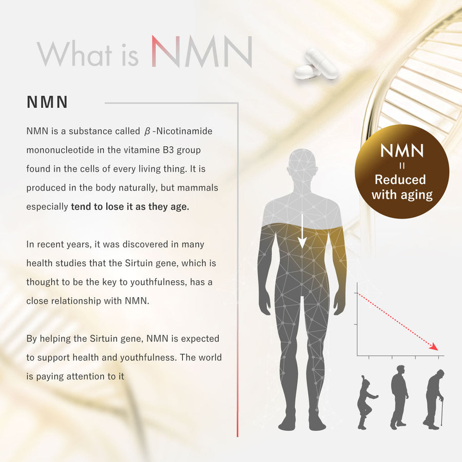 INNER BEAUTY NMN β-煙酰胺單核苷酸